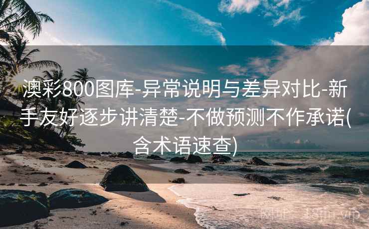 澳彩800图库-异常说明与差异对比-新手友好逐步讲清楚-不做预测不作承诺(含术语速查)