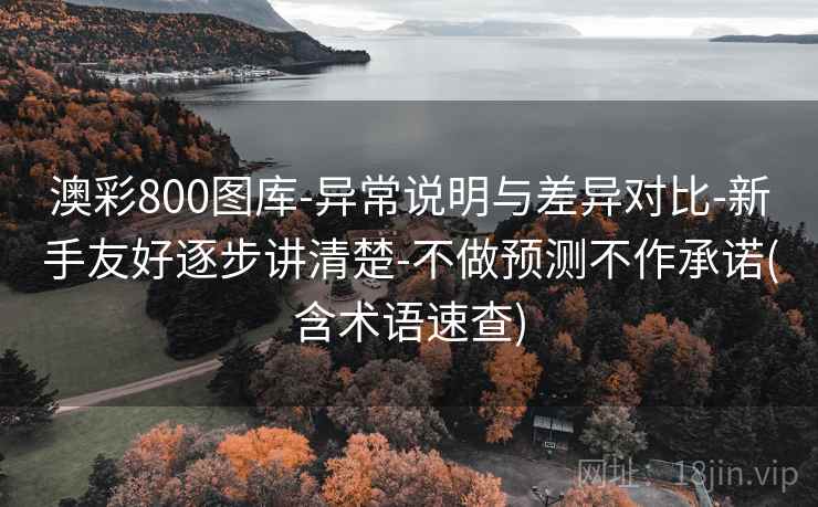 澳彩800图库-异常说明与差异对比-新手友好逐步讲清楚-不做预测不作承诺(含术语速查)  第2张