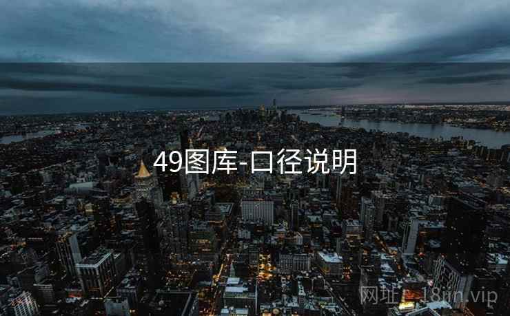 49图库-口径说明